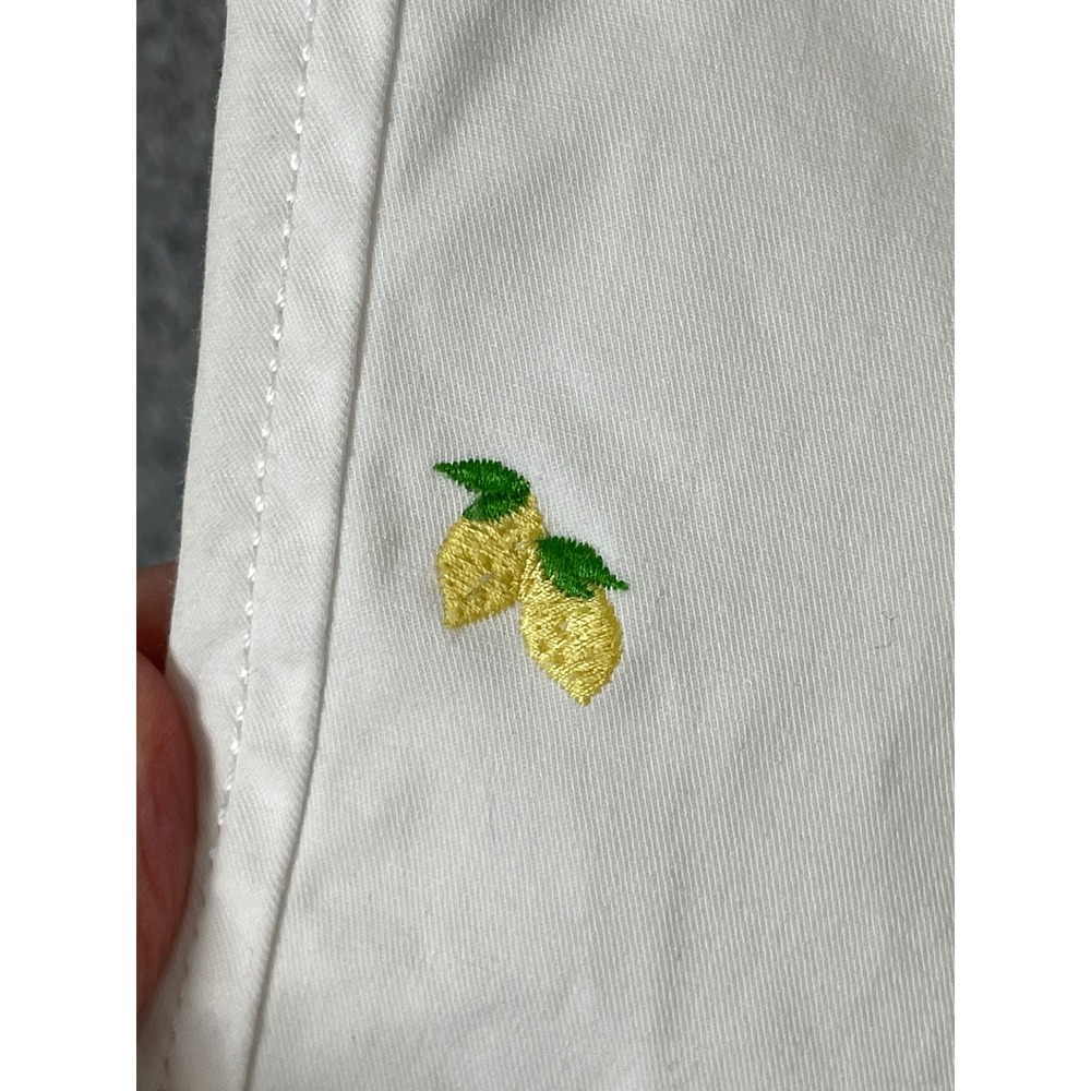 Talbots Lemon Embroidered Preppy Chino Pants Womens 2P Fruit Coastal Whimsical - Picture 3 of 8
